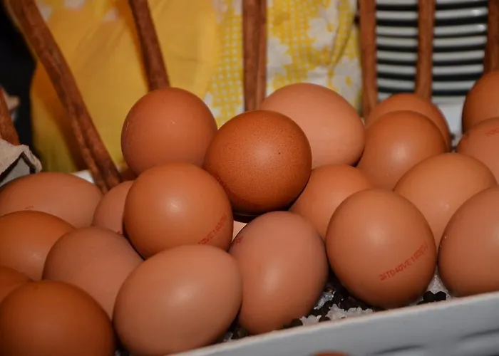 San Michele بيبيوني